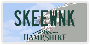 SKEEWNK  license plate in NH