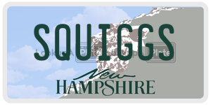 SQUIGGS  license plate in NH