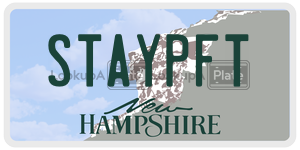 STAYPFT  license plate in NH