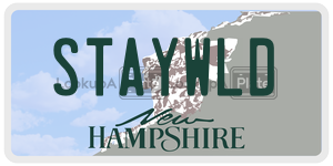STAYWLD  license plate in NH