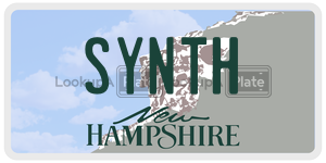 SYNTH  license plate in NH