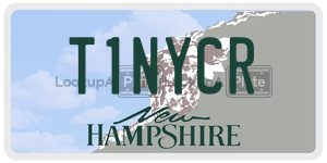 T1NYCR  license plate in NH