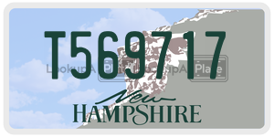 T569717  license plate in NH
