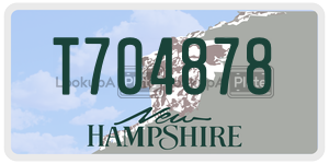 T704878  license plate in NH
