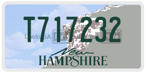 T717232  license plate in NH