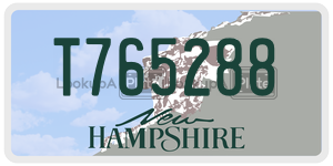 T765288 license plate in New Hampshire