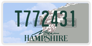 T772431  license plate in NH