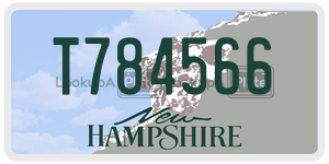 T784566  license plate in NH