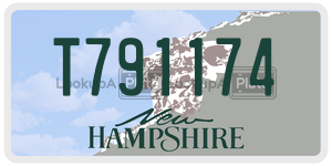 T791174  license plate in NH