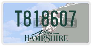 T818607  license plate in NH