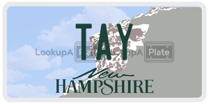 TAY  license plate in NH