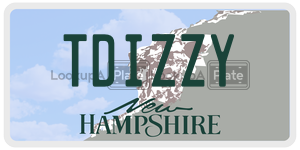 TDIZZY  license plate in NH