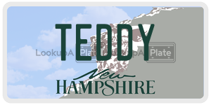 TEDDY  license plate in NH
