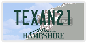 TEXAN21  license plate in NH