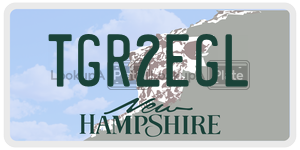 TGR2EGL  license plate in NH
