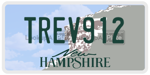 TREV912  license plate in NH