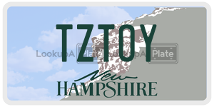 TZTOY  license plate in NH
