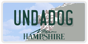 UNDADOG  license plate in NH