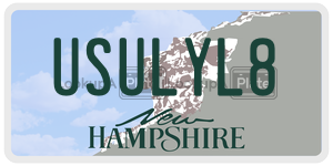 USULYL8  license plate in NH