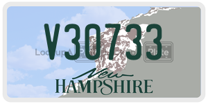 V30733  license plate in NH