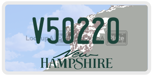 V50220  license plate in NH