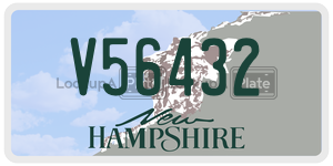 V56432  license plate in NH