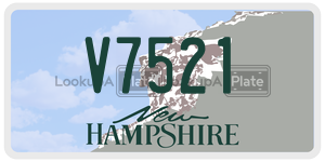 V7521  license plate in NH