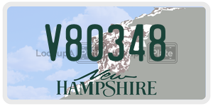 V80348  license plate in NH