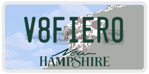 V8FIERO  license plate in NH