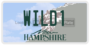 WILD1  license plate in NH