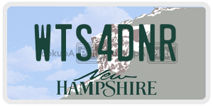 WTS4DNR  license plate in NH