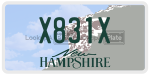 X831X  license plate in NH