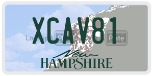 XCAV81  license plate in NH