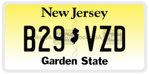 B29VZD license plate in New Jersey