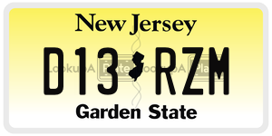 D13RZM license plate in New Jersey