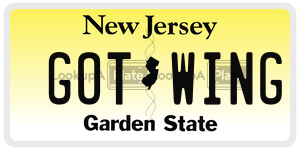 GOTWING license plate in New Jersey