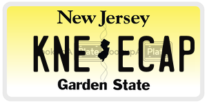 KNEECAP  license plate in NJ