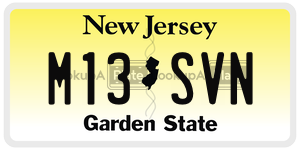 M13SVN license plate in New Jersey