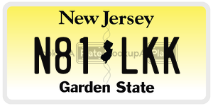 N81LKK license plate in New Jersey