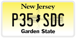 P35SDC  license plate in NJ