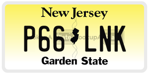 P66LNK  license plate in NJ