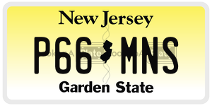 P66MNS license plate in New Jersey