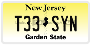 T33SYN  license plate in NJ