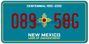 08958G  license plate in NM