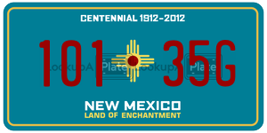 10135G  license plate in NM
