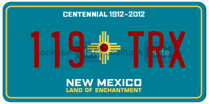119TRX  license plate in NM