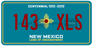 143XLS  license plate in NM