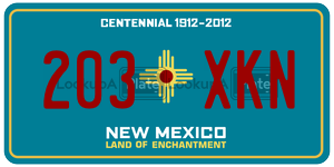 203XKN  license plate in NM