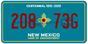 20873G  license plate in NM