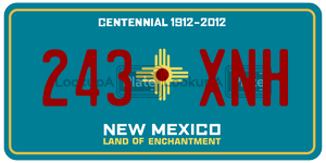 243XNH  license plate in NM